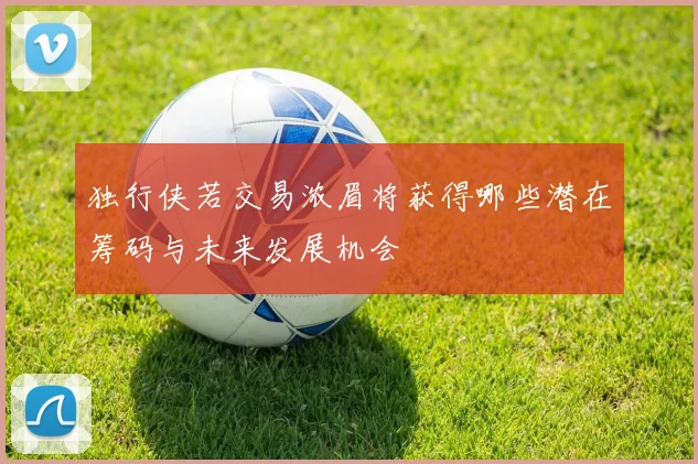 独行侠若交易浓眉将获得哪些潜在筹码与未来发展机会
