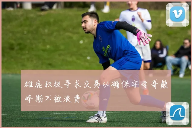 雄鹿积极寻求交易以确保字母哥巅峰期不被浪费